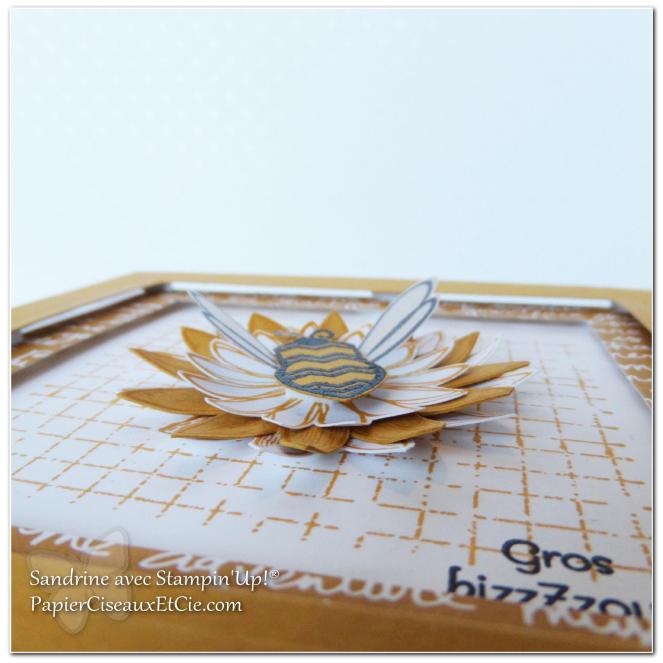 1 papierciseauxetcie onstage stampin up échantillon délice dijon carte2 detail2