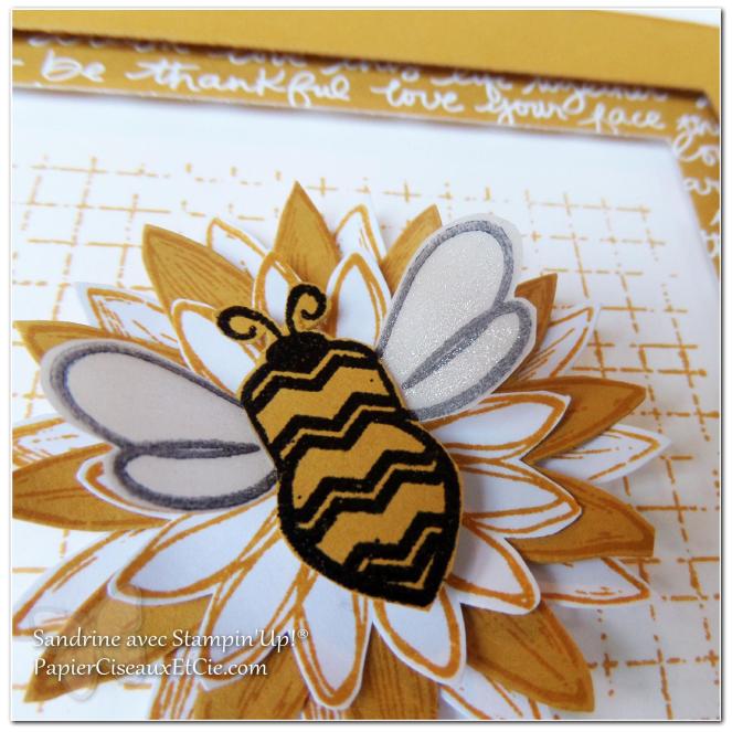 1 papierciseauxetcie onstage stampin up échantillon délice dijon carte2 detail3