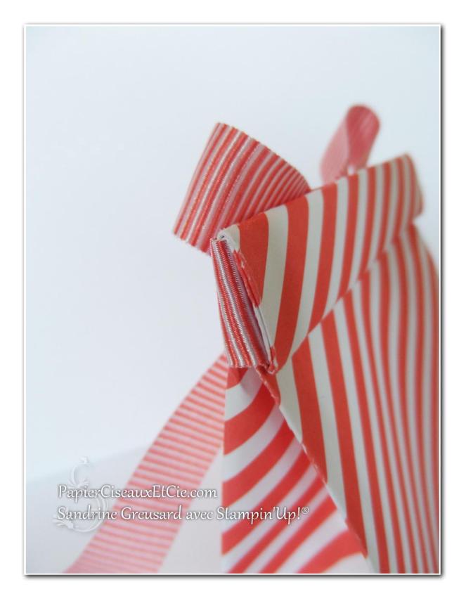 1 papierciseauxetcie onstage stampin up échantillon fraîcheur pastèque boite detail1