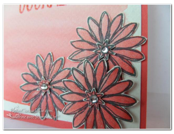 1 papierciseauxetcie onstage stampin up échantillon fraîcheurpastèque carte détail