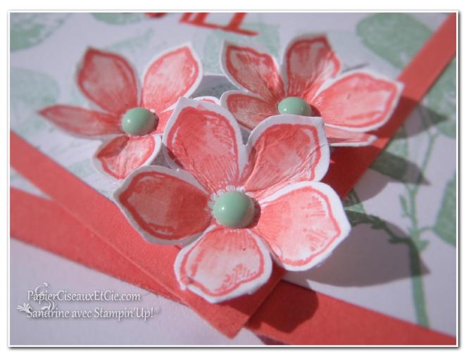 papierciseauxetcie blog hop stampin up printemps fond encré detail