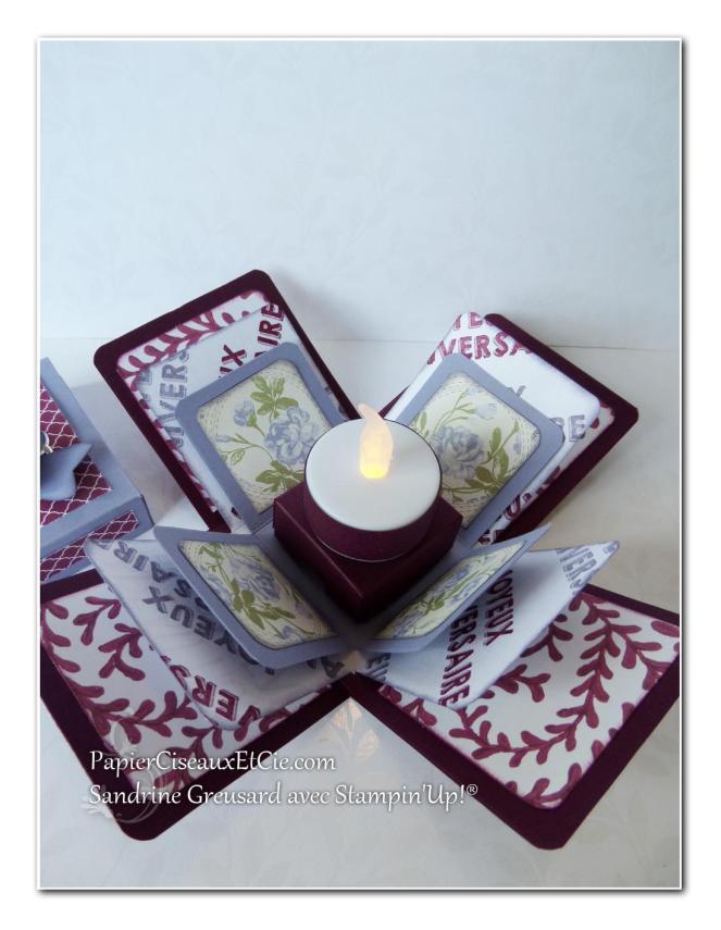 boite explosive papierciseauxetcie cadeau stampin up déployée