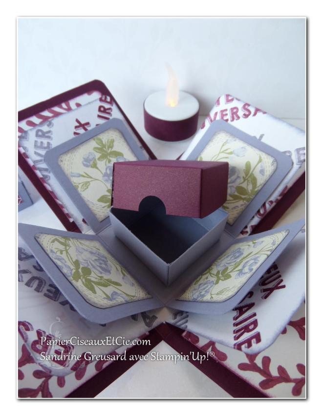 boite explosive papierciseauxetcie cadeau stampin up surprise offerte