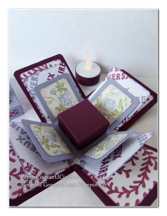 boite explosive papierciseauxetcie cadeau stampin up surprise