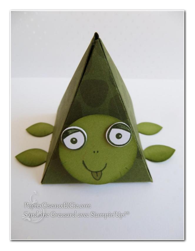 papierciseauxetcie 123 scrappez été boîte tortue