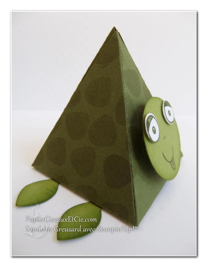 papierciseauxetcie 123 scrappez été boîte tortue2
