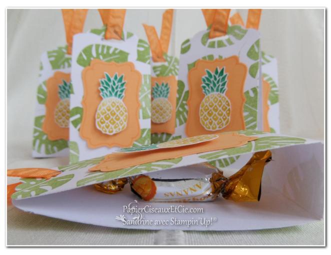 pop of paradise pineapple ananas stampin up 2 papierciseauxetcie.com