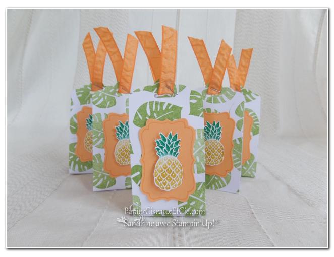 pop of paradise pineapple ananas stampin up papierciseauxetcie.com