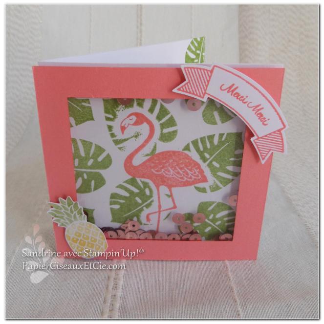 pop of paradise stampin up 1 papierciseauxetcie.com