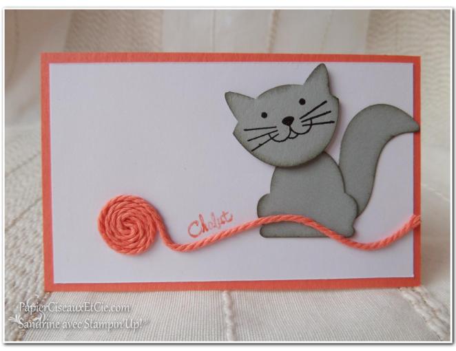 1 Foxy friends Chat Cat Swap swappons swappez papierciseauxetcie stampin up sandrine greusard