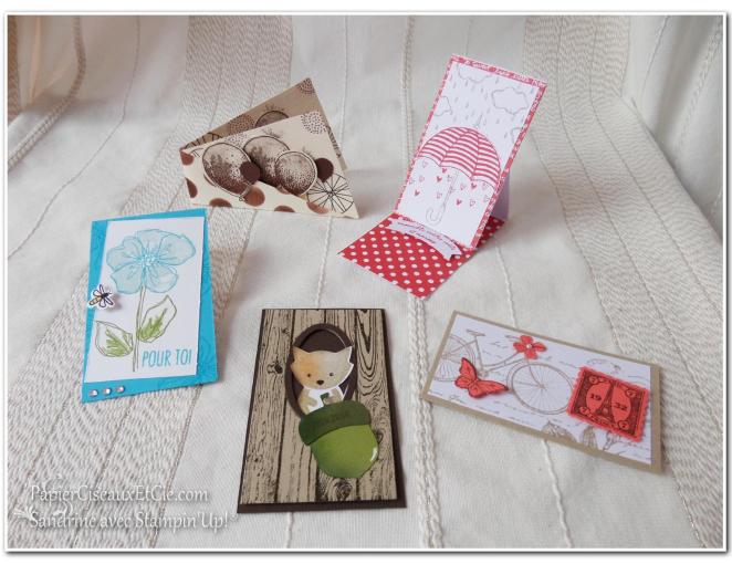 1 Gpe Swap swappons swappez papierciseauxetcie stampin up sandrine greusard