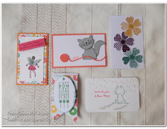 2 Gpe Swap swappons swappez papierciseauxetcie stampin up sandrine greusard