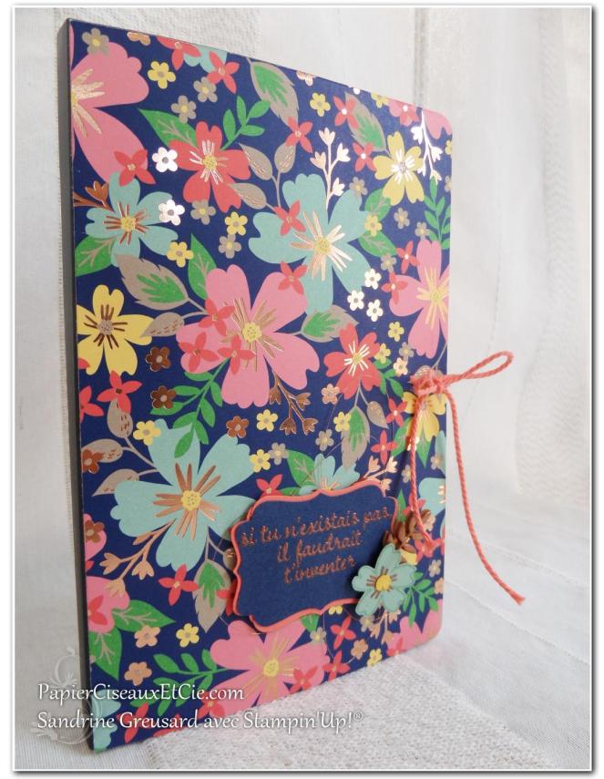 Carnet profil Stampin up Sandrine Greusard Papierciseauxetcie