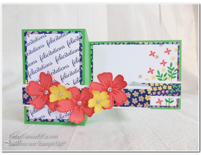 Carte à bande 1 Stampin up Sandrine Greusard Papierciseauxetcie