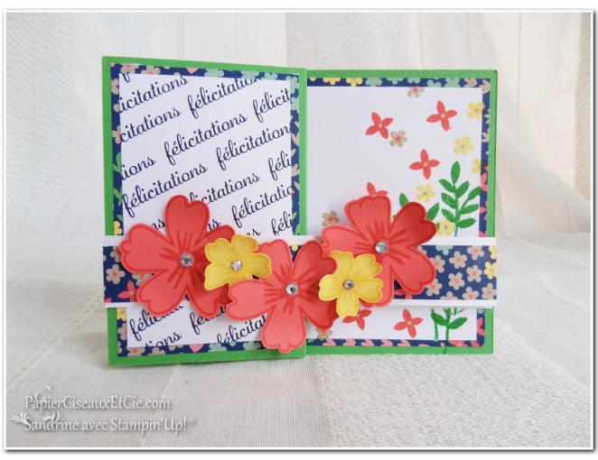 Carte à bande 3 Stampin up Sandrine Greusard Papierciseauxetcie