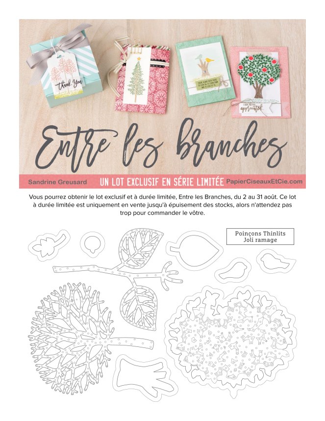 page1-sandrine-greusard-demo-stampin-up