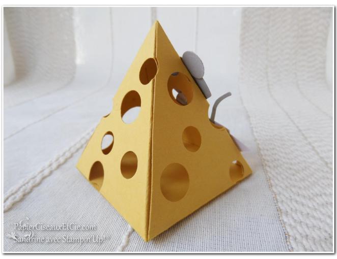 Boite à dents Sandrine Papierciseauxetcie avec stampin up dos