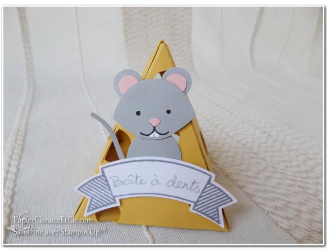 Boite à dents Sandrine Papierciseauxetcie avec stampin up face