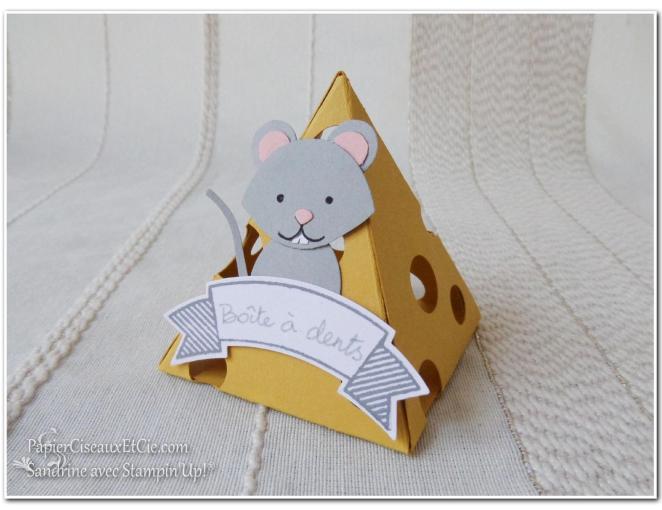 Boite à dents Sandrine Papierciseauxetcie avec stampin up