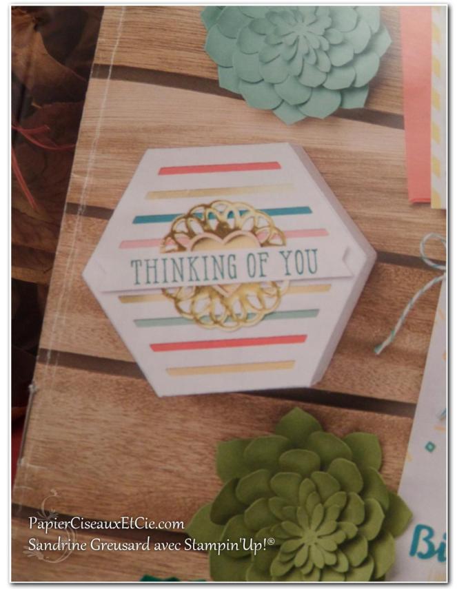 onstage-stampin-up-papierciseauxetcie-catalogue-printemps-ete-detail1
