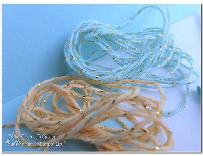 blog-hop-nouveaute-2017-stampin-up-papierciseauxetcie-kit-accessoires-ficelles