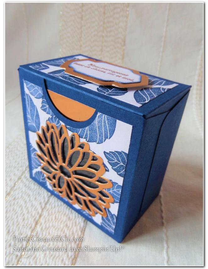 boite-a-gourmandise-insta-pochette-raison-speciale-special-reason-stampin-up-papierciseauxetcie-boite-fermee