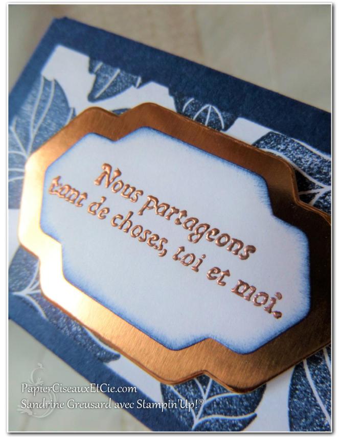 boite-a-gourmandise-insta-pochette-raison-speciale-special-reason-stampin-up-papierciseauxetcie-zoom-texte