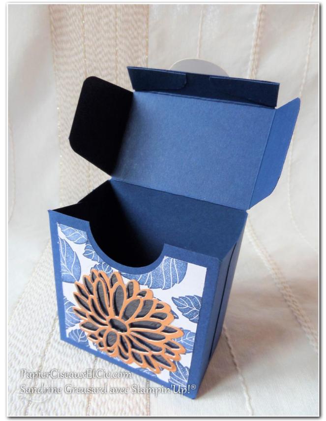 boite-a-gourmandise-insta-pochette-raison-speciale-special-reason-stampin-up-papierciseauxetcie