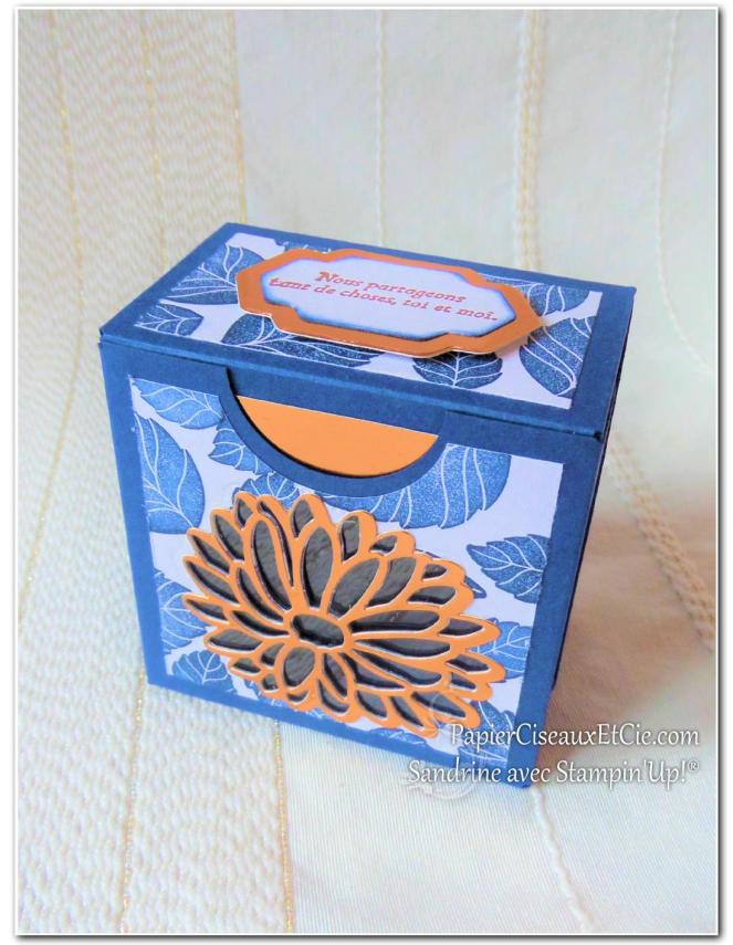 boite-a-gourmandises-insta-pochette-raison-speciale-special-reason-stampin-up-papierciseauxetcie