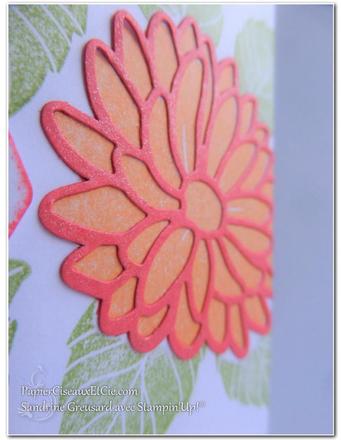 carte-raison-speciale-special-reason-143403-142899-sandrine-papierciesauxetcie-demo-stampinup-detail
