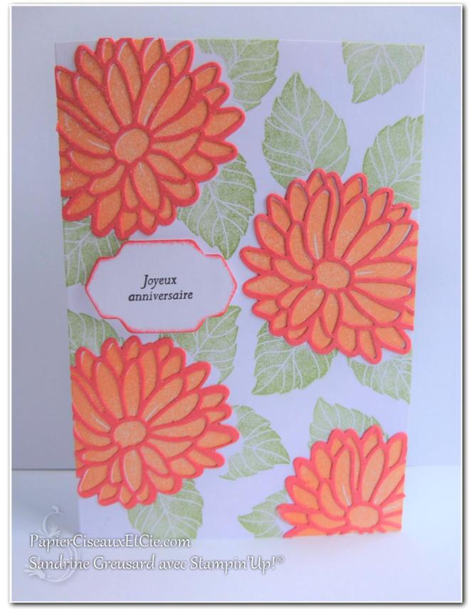carte-raison-speciale-special-reason-143403-142899-sandrine-papierciesauxetcie-demo-stampinup