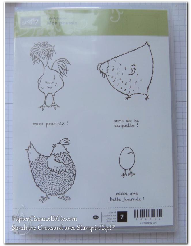 hey-chick-mon-poussin-sab-sale-a-bration-sab-2017-sandrine-papierciesauxetcie-demo-stampinup-144310