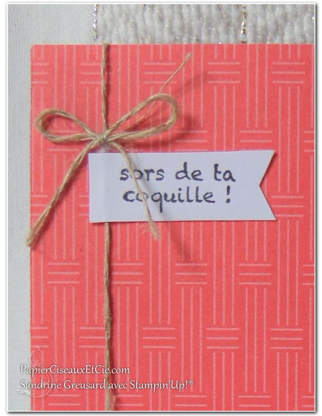 hey-chick-mon-poussin-sab-sale-a-bration-sab-2017-sandrine-papierciesauxetcie-demo-stampinup-detail-1