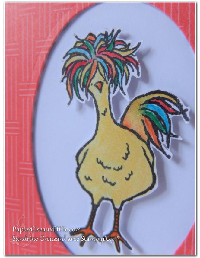 hey-chick-mon-poussin-sab-sale-a-bration-sab-2017-sandrine-papierciesauxetcie-demo-stampinup-detail-2