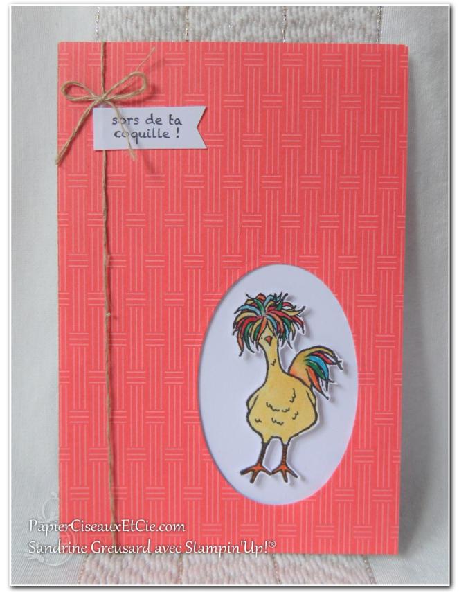 hey-chick-mon-poussin-sab-sale-a-bration-sab-2017-sandrine-papierciesauxetcie-demo-stampinup