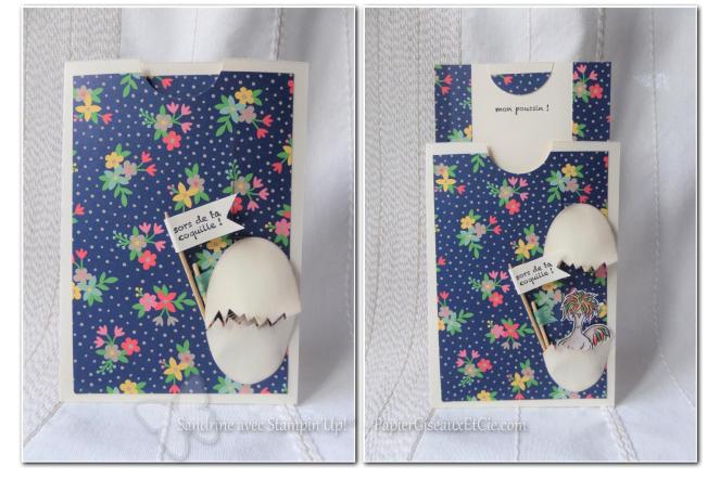 slider-card-carte-ascenceur-hey-chick-mon-poussin-sab-sale-a-bration-sandrine-papierciesauxetcie-demo-stampinup-ouverte-pin-it