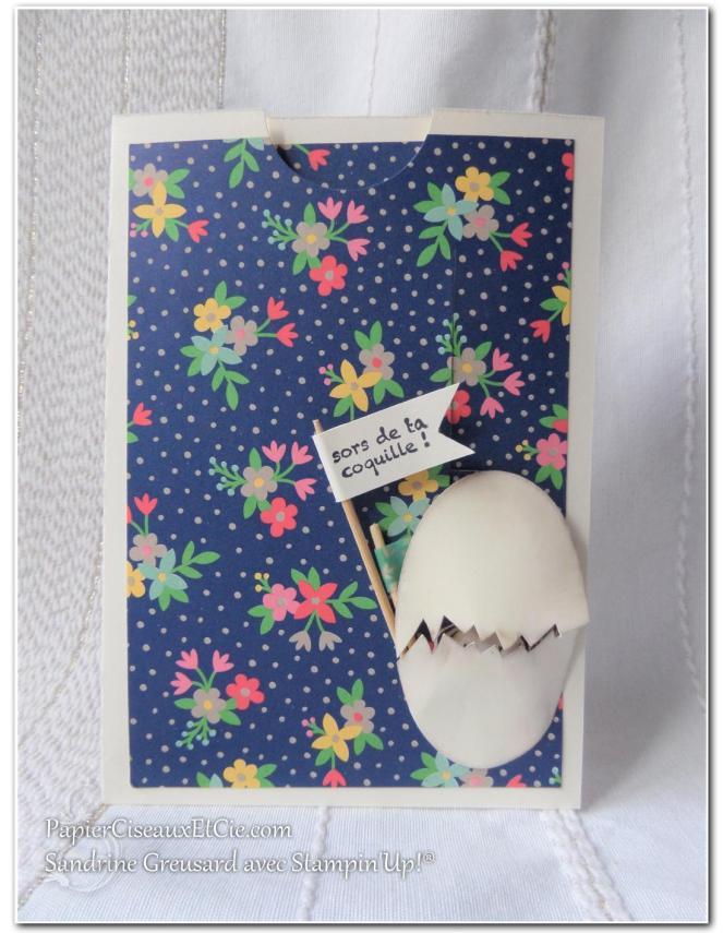 slider-card-carte-ascenceur-hey-chick-mon-poussin-sab-sale-a-bration-sandrine-papierciesauxetcie-demo-stampinup