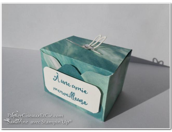 boite-cadeau-hotesse-papierciseauxetcie-sandrine-avec-stampin-up-su