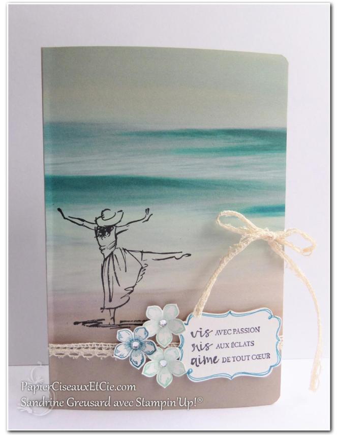 carnet-offert-a-ma-filleule-sandrine-papierciseauxetcie-demo-stampinup-resplandissante