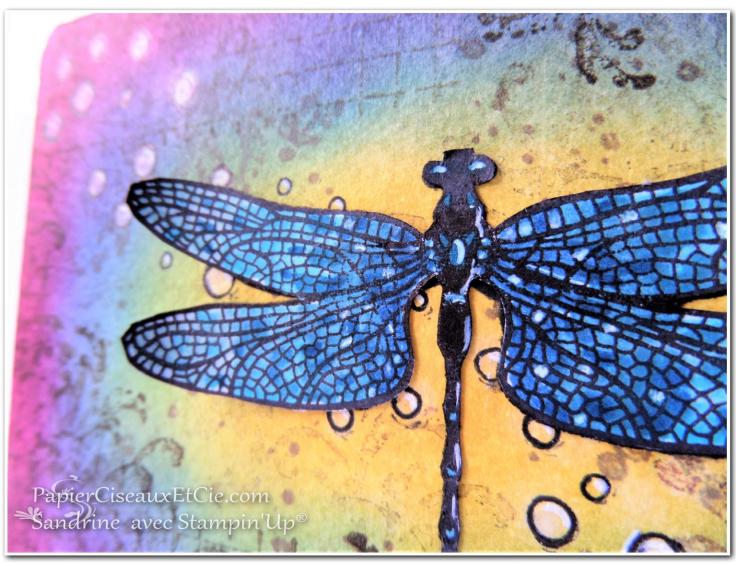 papierciseauxetcie-sandrine-stampin-up-songes-de-libellules-dragonfly-dreams-detail