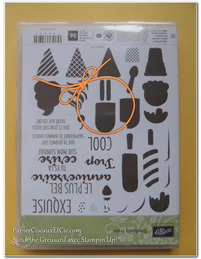 papierciseauxetcie-sandrine-stampin-up-souhait-frais-frozen-treat-friandises-glaces-smiley-2
