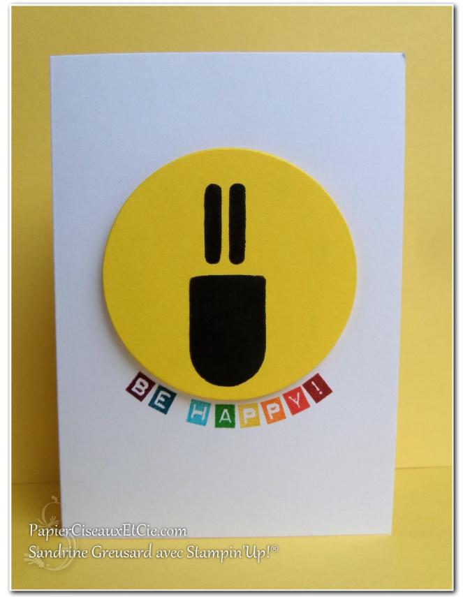 papierciseauxetcie-sandrine-stampin-up-souhait-frais-frozen-treat-friandises-glaces-smiley