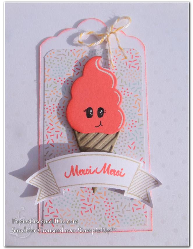 papierciseauxetcie-sandrine-stampin-up-souhait-frais-frozen-treat-friandises-glaces-tag-remerciement-thank-you-fraicheur-pasteque