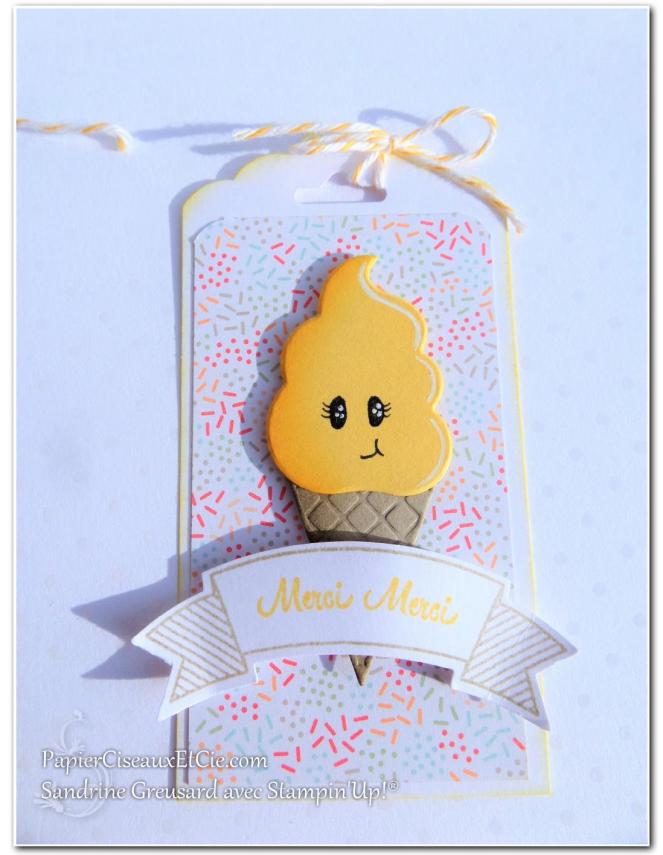 papierciseauxetcie-sandrine-stampin-up-souhait-frais-frozen-treat-friandises-glaces-tag-remerciement-thank-you-narcisse-delice