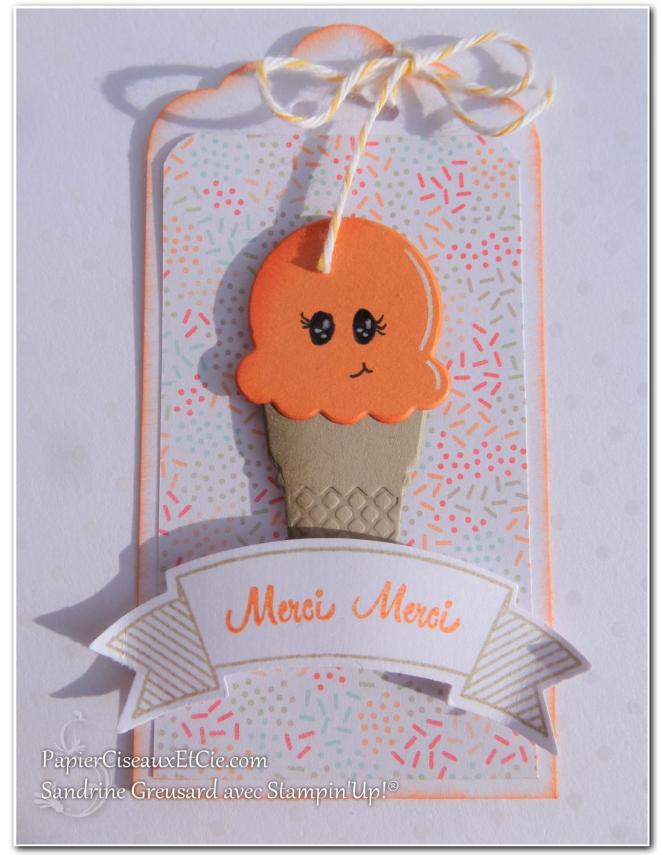 papierciseauxetcie-sandrine-stampin-up-souhait-frais-frozen-treat-friandises-glaces-tag-remerciement-thank-you-tango-mandarine