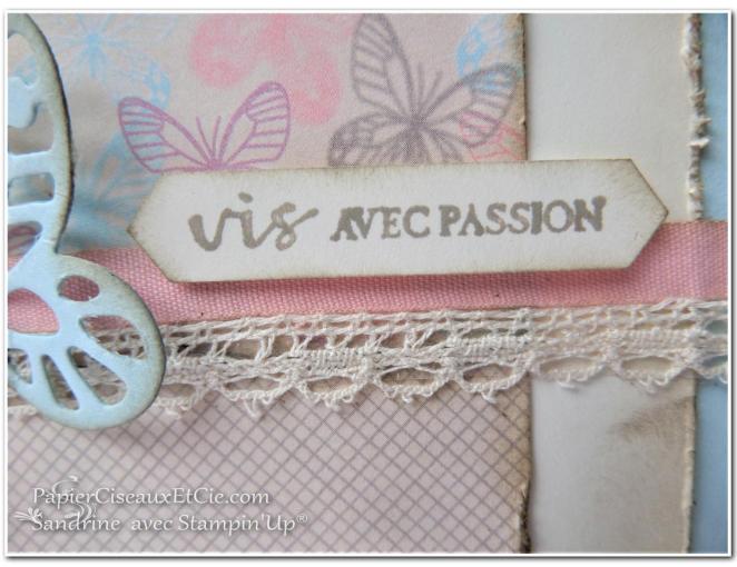 papierciseauxetcie-sandrine-stampin-up-papillon-audacieux-138135-resplendissante-143458-papier-amour-naissant-142788-detail-1-sketch-en-ligne-online