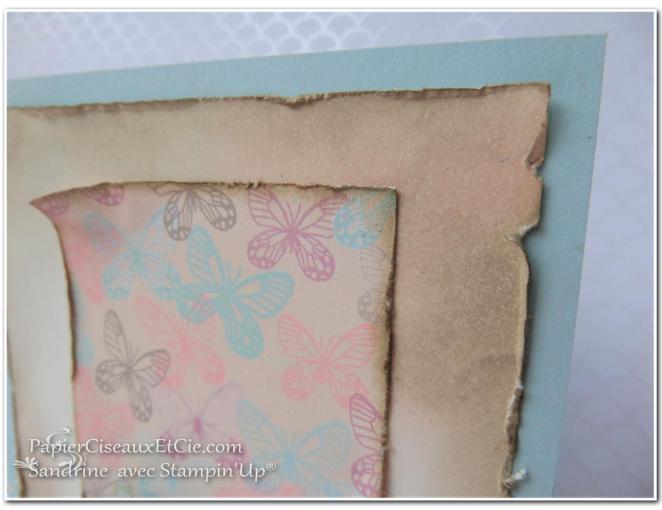 papierciseauxetcie-sandrine-stampin-up-papillon-audacieux-138135-resplendissante-143458-papier-amour-naissant-142788-detail-2-sketch-en-ligne-online