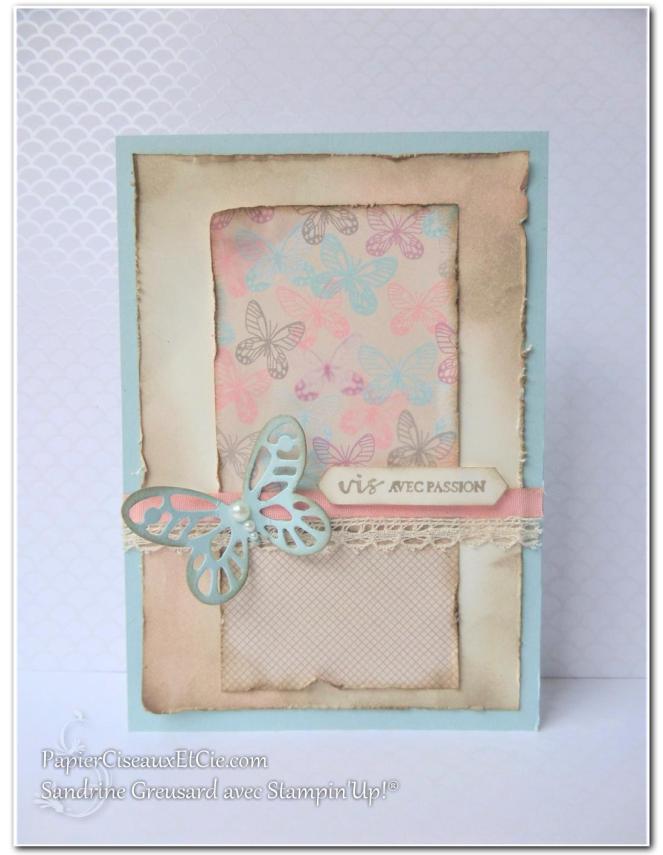 papierciseauxetcie-sandrine-stampin-up-papillon-audacieux-138135-resplendissante-143458-papier-amour-naissant-142788