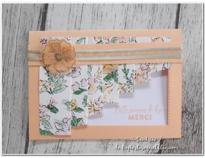 papierciseauxet cie qui scrappe me suive juin 2021 1